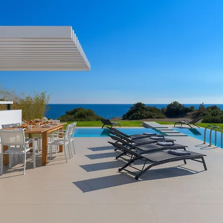 Albatross Front Gennadi