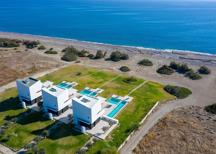 Albatross Front * Gennadi