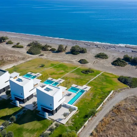 Albatross Front * Gennadi