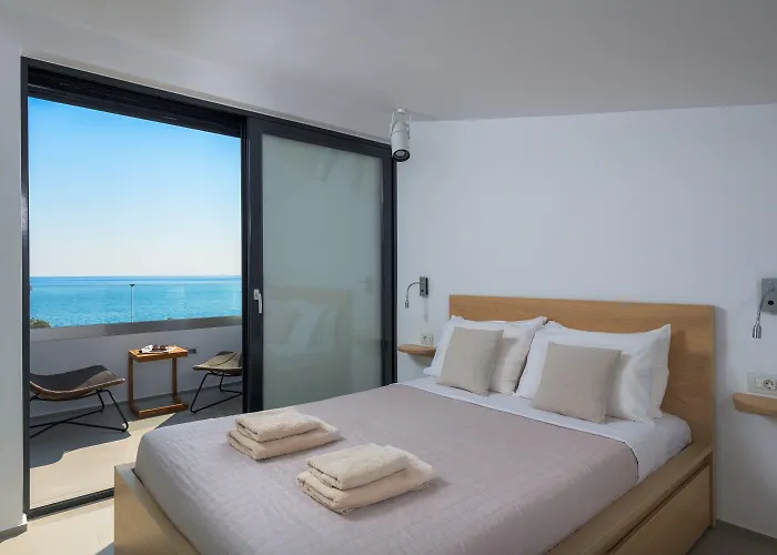 Albatross Front * Jenádi